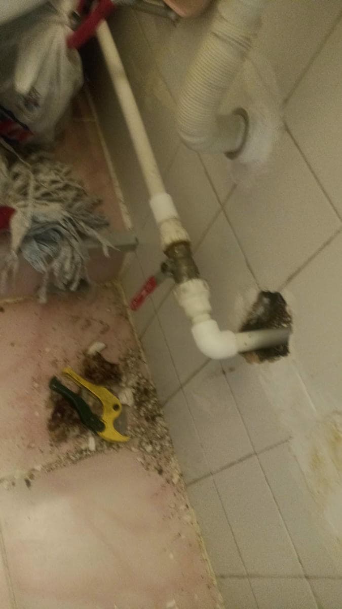 Yerinde tesisat inceleme